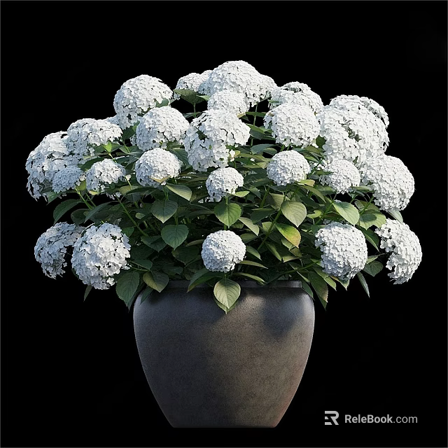 Green Plant Wall Design With White Hydrangea Flowers Green Leaves And Gray Pot 3d model 