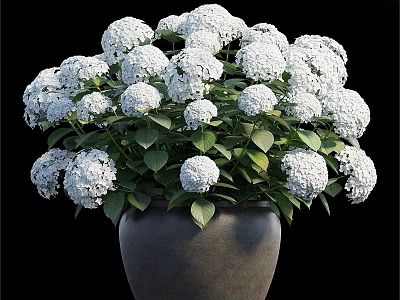 Green Plant Wall Design With White Hydrangea Flowers Green Leaves And Gray Pot 3d model