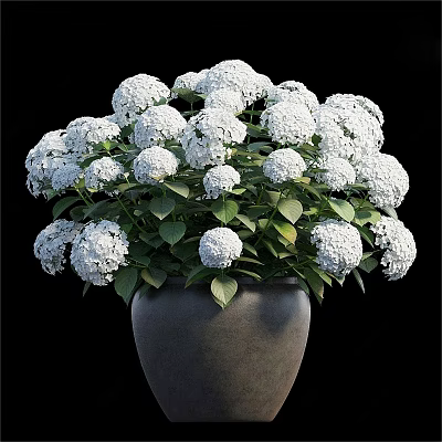 Green Plant Wall Design With White Hydrangea Flowers Green Leaves And Gray Pot 3d model