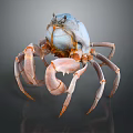 Blue and Orange Crab with Large Claws and Long Legs on Dark Background with Reflection