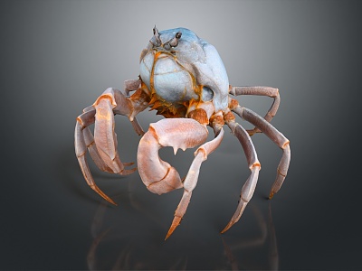 Modern Crab Soldier Crab Sea Crab 3d model