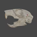 Detailed Animal Skull With Intricate Bone Structure And Sharp Teeth 3d model