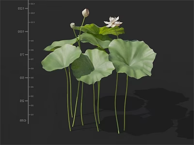 Modern Lotus 3d model Modern Lotus 3d model