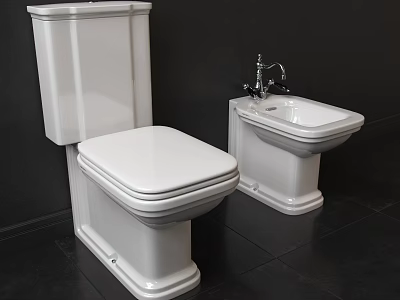 White Toilet And Bidet In Modern Bathroom Interior With Black Wall Floor 3d model