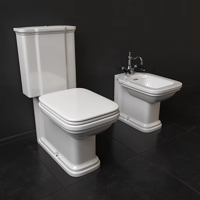White Toilet And Bidet In Modern Bathroom Interior With Black Wall Floor 3d model