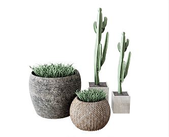 Modern Potted Plant Flower Pot Plant Vase Ornaments Cactus Tropical Plant 3d model