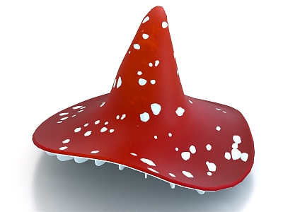 Witch Hat Witch Hat Magic Hat 3d model