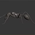 Detailed Metallic Silver Ant Model Displayed On Dark Background With Reflection