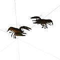 Two Brown Reptile Specimens With Large Claws And Segmented Bodies On White Surface 3d model