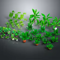 Cartoon Scene Featuring Various 3D Modeled Green Potted Plants With Lush Foliage