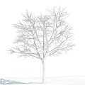 Deciduous Tree Covered With Snow Standing Under Clear Blue Sky With White Clouds 3d model
