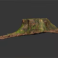 Decorative Wooden Stump Featuring Green Moss and Textured Stone Base