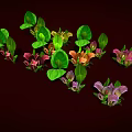 Vibrant Calla Lily Plants With Green Leaves And Pink Purple Blooms