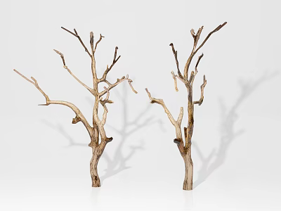 Pair of Decorative Dry Tree Branches With Natural Texture On White Background 3d model