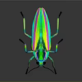 Colorful Metallic Beetle With Iridescent Green And Purple Shell On Dark Background With Reflection