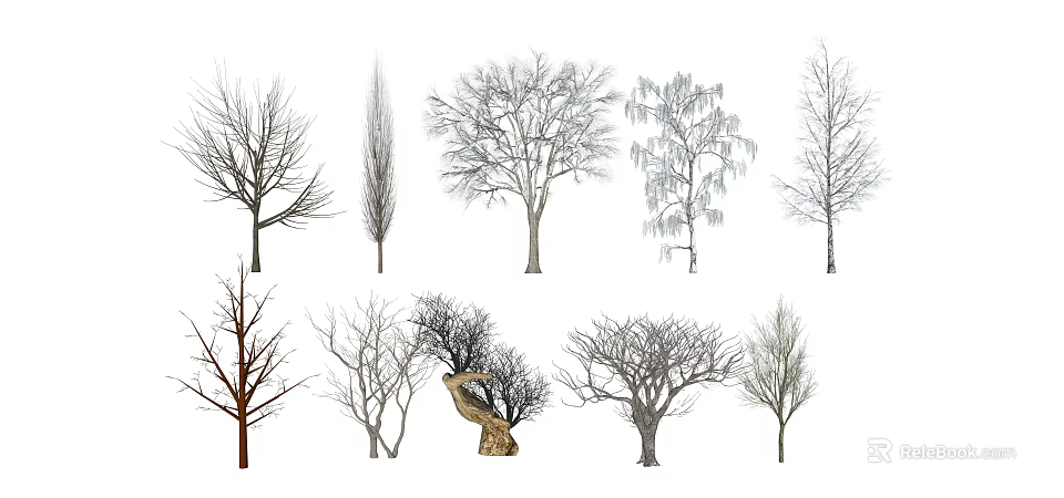 Various Bare Trees with Different Branch Shapes and Natural Structures 3d model 