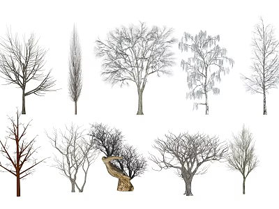 Various Bare Trees with Different Branch Shapes and Natural Structures 3d model