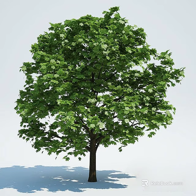 Lush Green Leafy Arbor With Dark Trunk Against Clear Sky Background 3d model 