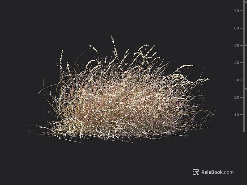 Dry Grass Cluster With Light Brown Foliage On Black Background And Measurement Scale 3d model 