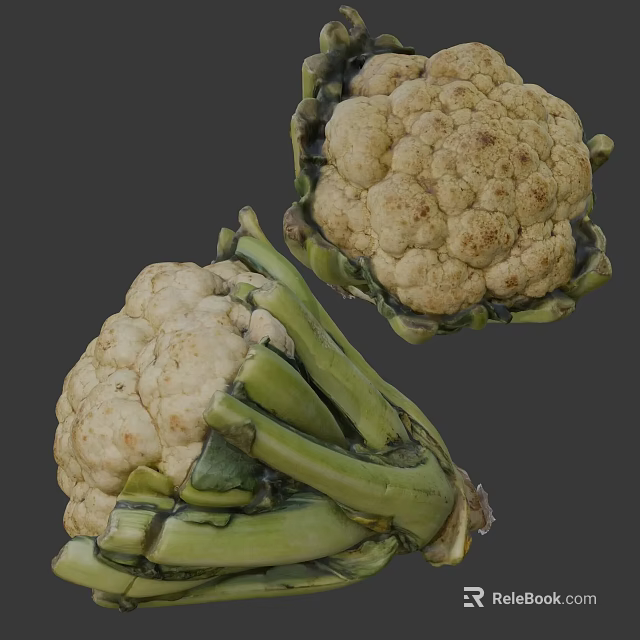 Two Fresh White Cauliflower Florets With Green Stems On Gray Background 3d model 