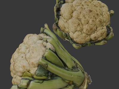 Two Fresh White Cauliflower Florets With Green Stems On Gray Background 3d model