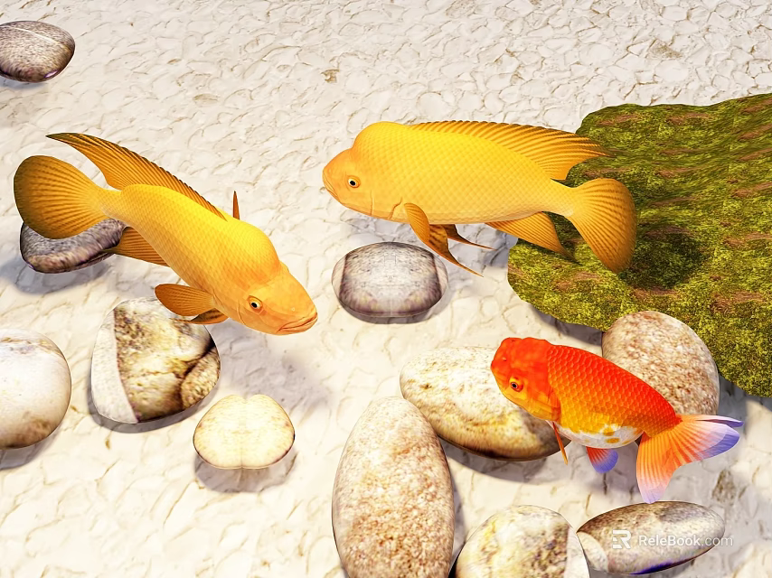 Yellow Fish and Red Goldfish Swimming Among Stones and Green Mossy Rocks 3d model 