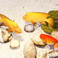 Yellow Fish and Red Goldfish Swimming Among Stones and Green Mossy Rocks