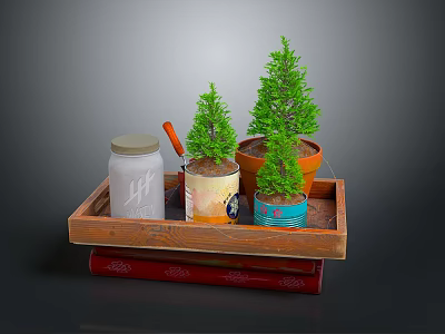 Small Potted Plants Displayed On Wooden Tray With Glass Jar And Red Books 3d model