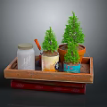 Small Potted Plants Displayed On Wooden Tray With Glass Jar And Red Books