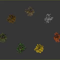 Colorful Trees Displaying Green Yellow Red and Bare Branches on Gray Background