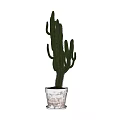 Green Cactus Potted Plant in White Textured Ceramic Pot for Indoor Decor