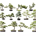 Varied Bonsai Trees In Decorative Pots With Different Shapes And Styles 3d model