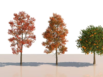 Three Trees With Red Orange Leaves And One With Green Foliage And Orange Fruits 3d model