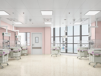 Neonatology NICU Regional Pediatric Obstetrics Neonatal Care Unit Intensive Care Unit model