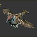 Modern Birds Birds 3d model