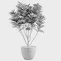 Bonsai Potted Plant with Green Yellow Red Foliage in White Ceramic Pot for Indoor Decor
