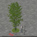 Arbor with Green Circular Area in Gray Brick Pavement and Human Figure Near Rongjing