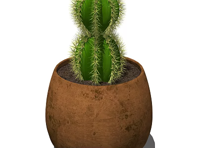 Green Cactus Bonsai Potted Plant in Brown Clay Pot with Soil 3d model