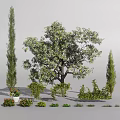 Diverse Garden Plants Featuring Large Tree Two Cypress Trees Small Shrubs And Potted Plants 3d model