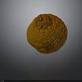 Round Orange Yellow Fruit With Rough Bumpy Surface And Small Stem