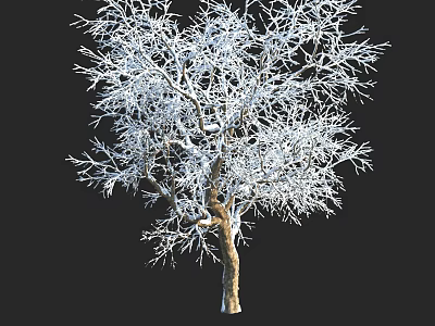 Snow Covered Arbor With Bare Branches And Brown Trunk On Black Background 3d model