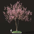 Sakura Inspired Food Display With Pink Blossom Tree And Green Grass