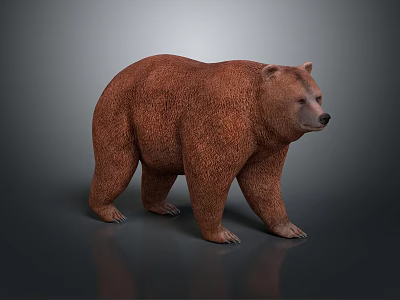 Realistic Brown Bear 3D Model With Detailed Fur Texture And Standing Pose 3d model