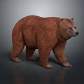 Realistic Brown Bear 3D Model With Detailed Fur Texture And Standing Pose 3d model