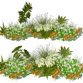 Vibrant Plant Combination With Green Foliage Yellow Flowers And Mixed Greens