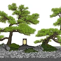Japanese Garden Courtyard With Pine Trees Stone Lantern And Rock Path 3d model