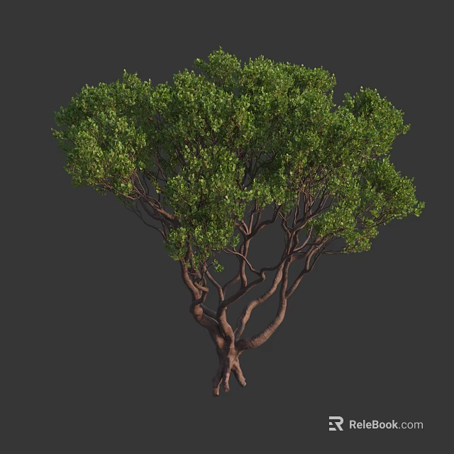 Lush Green Leafy Arbor With Twisted Branches And Thick Trunk 3d model