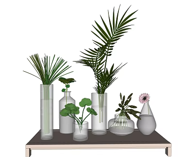 Stylish Glass and White Vases with Palm Leaves Lotus and Daisies on Table 3d model