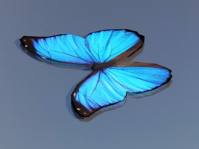 Butterfly Flying Butterfly Colored Butterfly Tiger Spot Butterfly Dead Leaf Butterfly Chicken Butterfly Blue Spot Butterfly Blue Butterfly 3d model