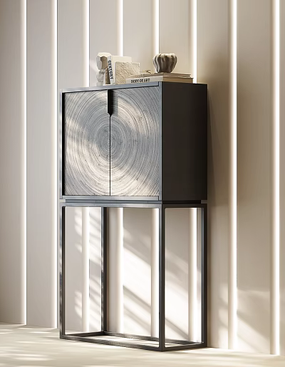 Elegant Modern Entryway Side Cabinet With Wooden Door And Black Metal Frame 3d model